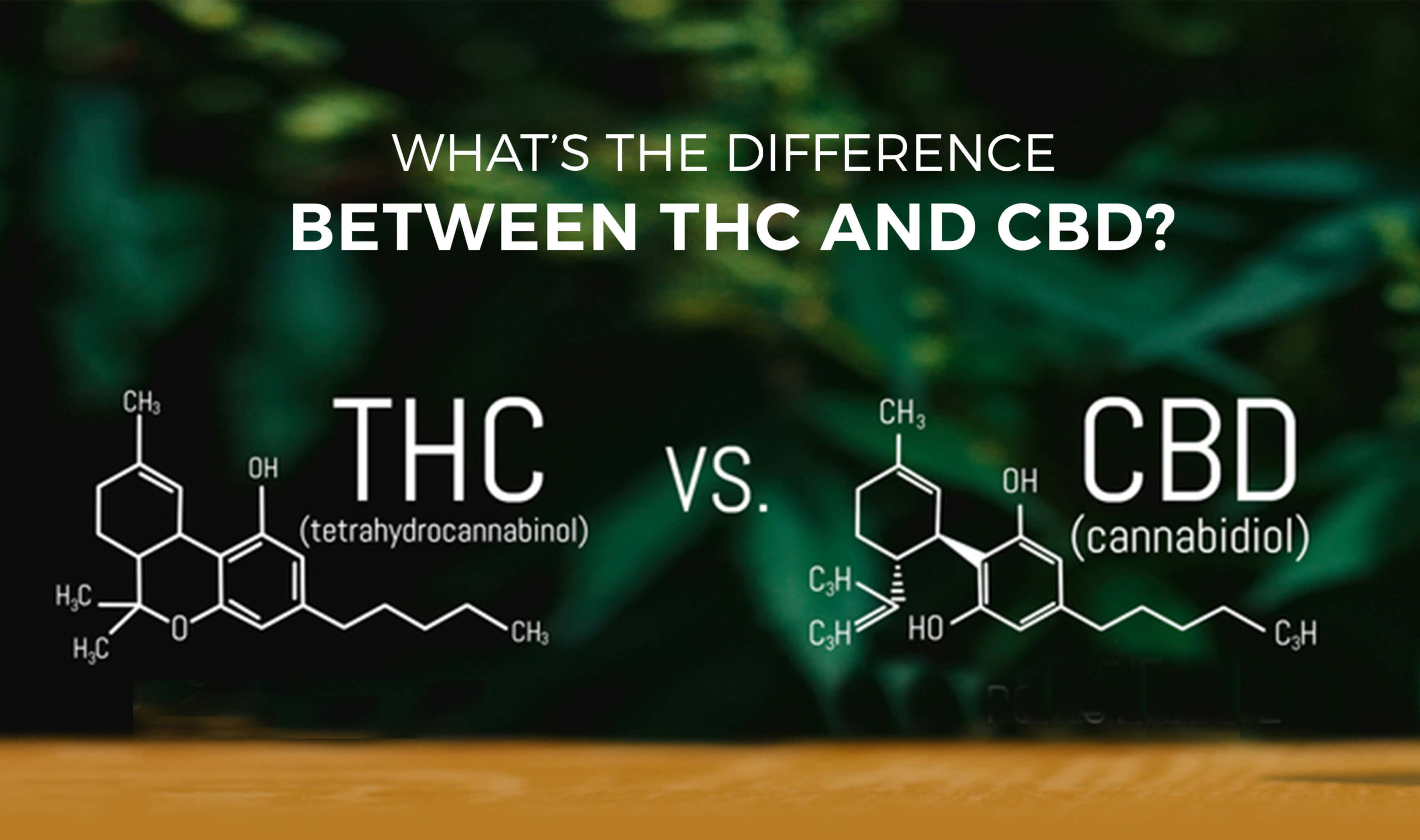 Difference Between THC and CBD
