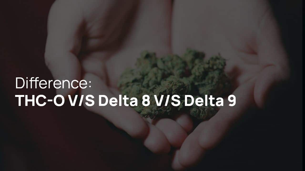 Difference THC-O v-s Delta 8 v-s Delta 9 – 1