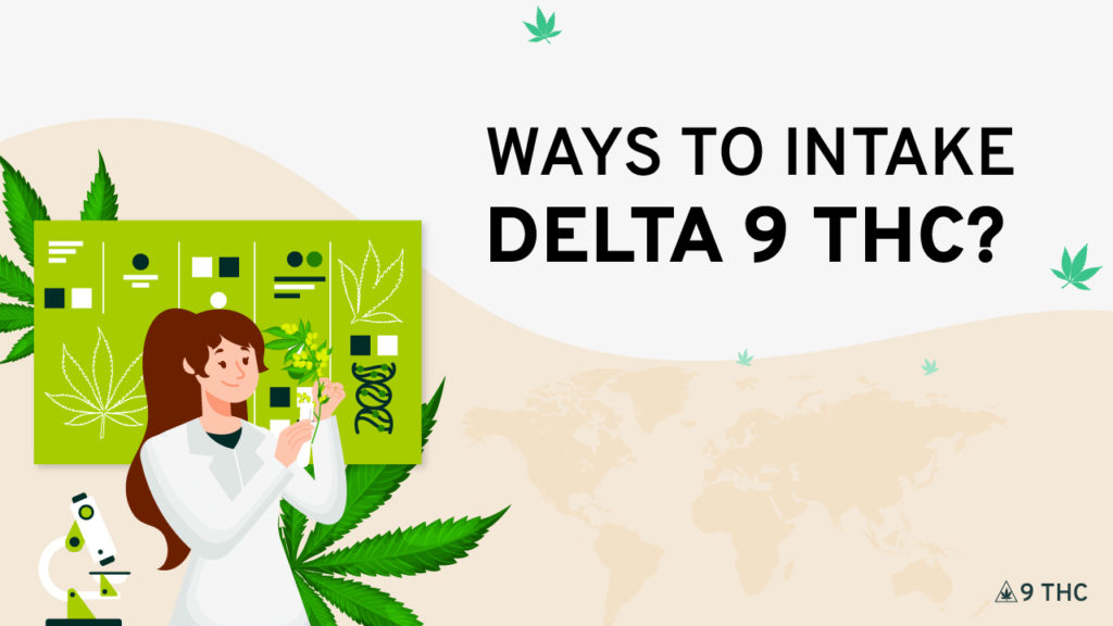 Ways to Intake Delta 9 THC