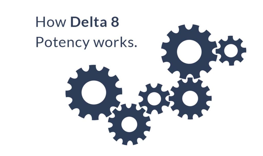 how delta 8 potency works