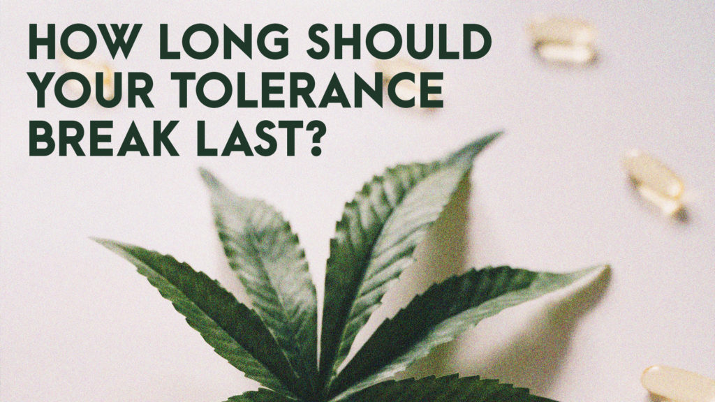 How long should your tolerance break last_