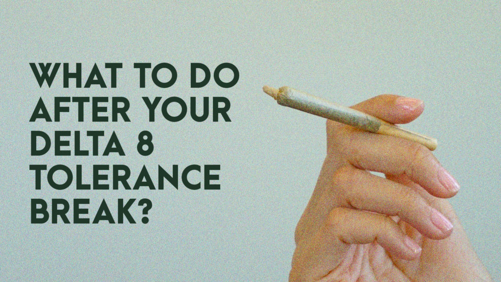What to do after your Delta 8 tolerance break