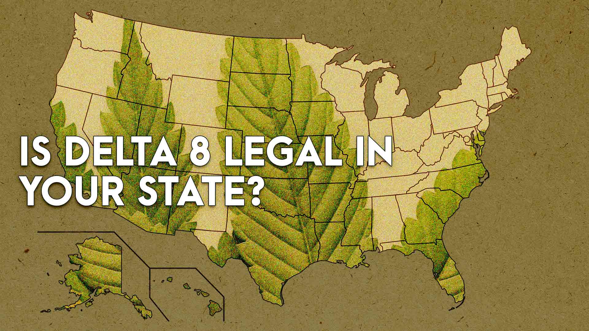 Is Delta 8 legal in your state_ 6