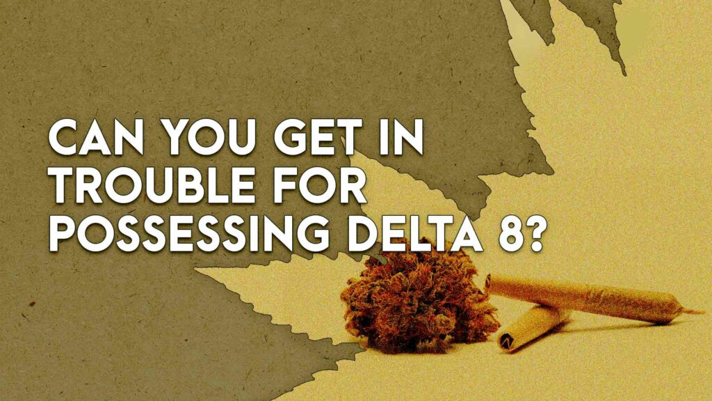  Can you get in trouble for possessing Delta 8_