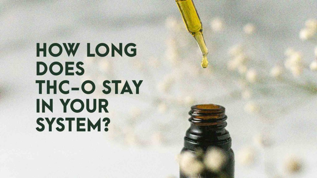 How long does THC-O stay in your system